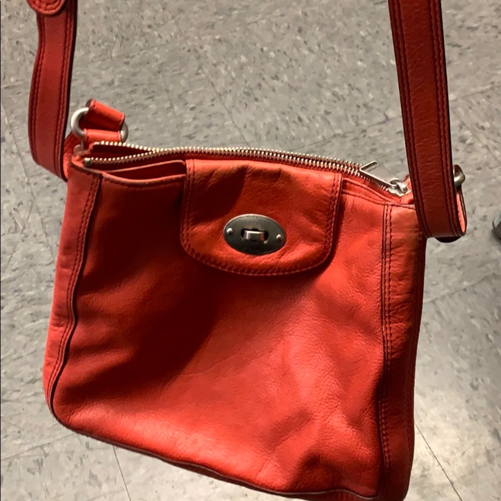 Fossil blood orange
